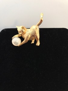 jelly belly cat