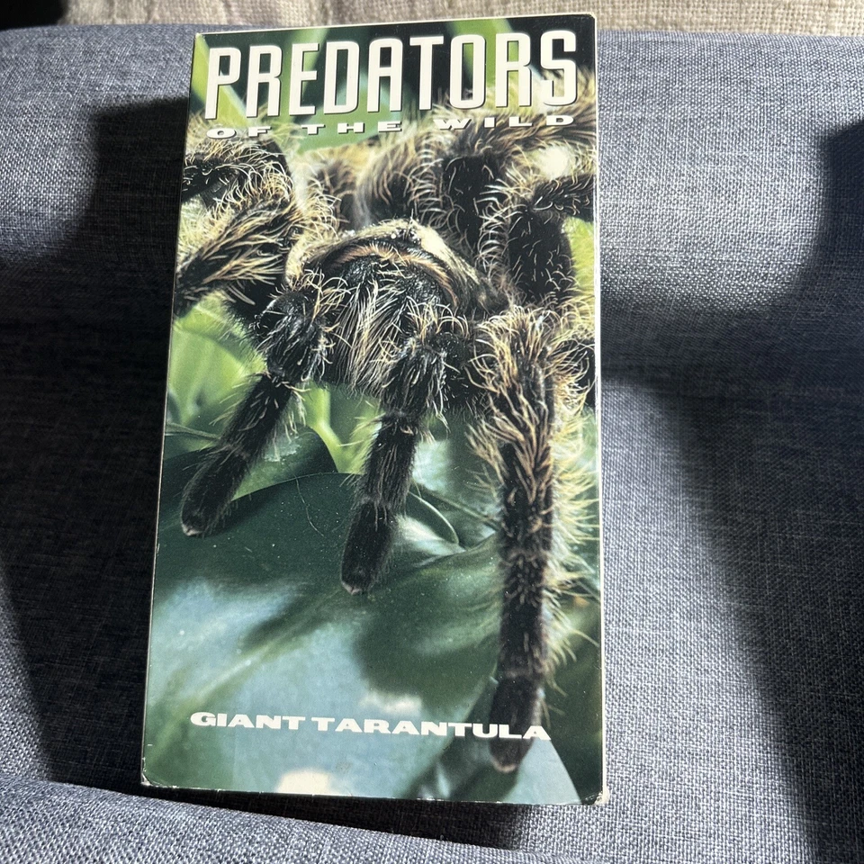 Predators of the Wild Giant Tarantula Vintage VHS 1993 Time Life Video Spiders - Image 2 of 4