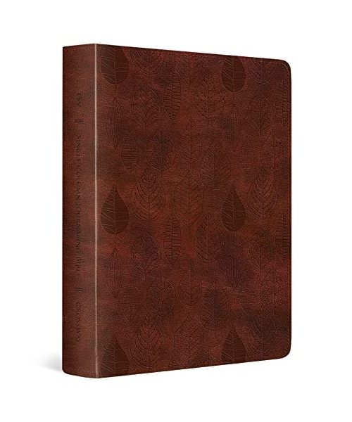 ESV Single Column Journaling Bible