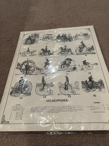 Julius Bien & Co. Photo-lith N.Y. Velocipedes Illustrated Bicycle Vintage 