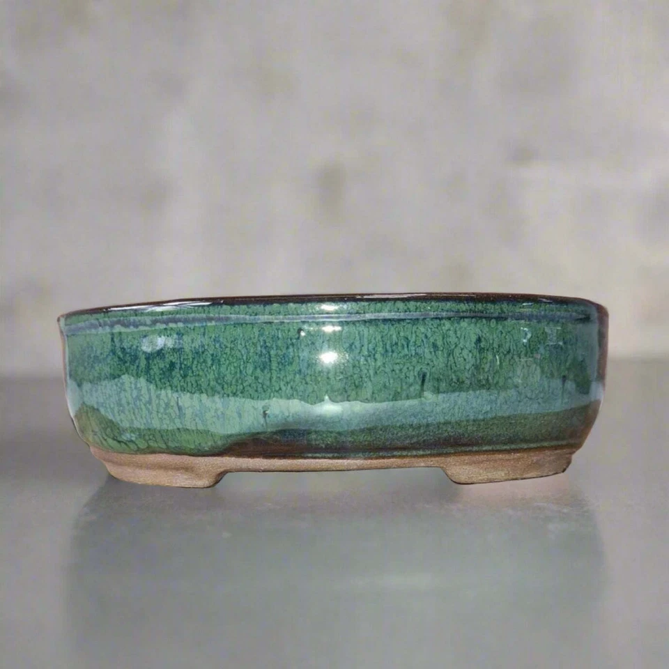 YORKSHIRE BONSAI 16cm Glazed Bonsai Pot | Oval | 16cm x 12cm x 3cm | Green