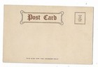 UNDIVIDED Advertising Post Card St. Charles MILK Children Soap Box Car At Play — photo 2