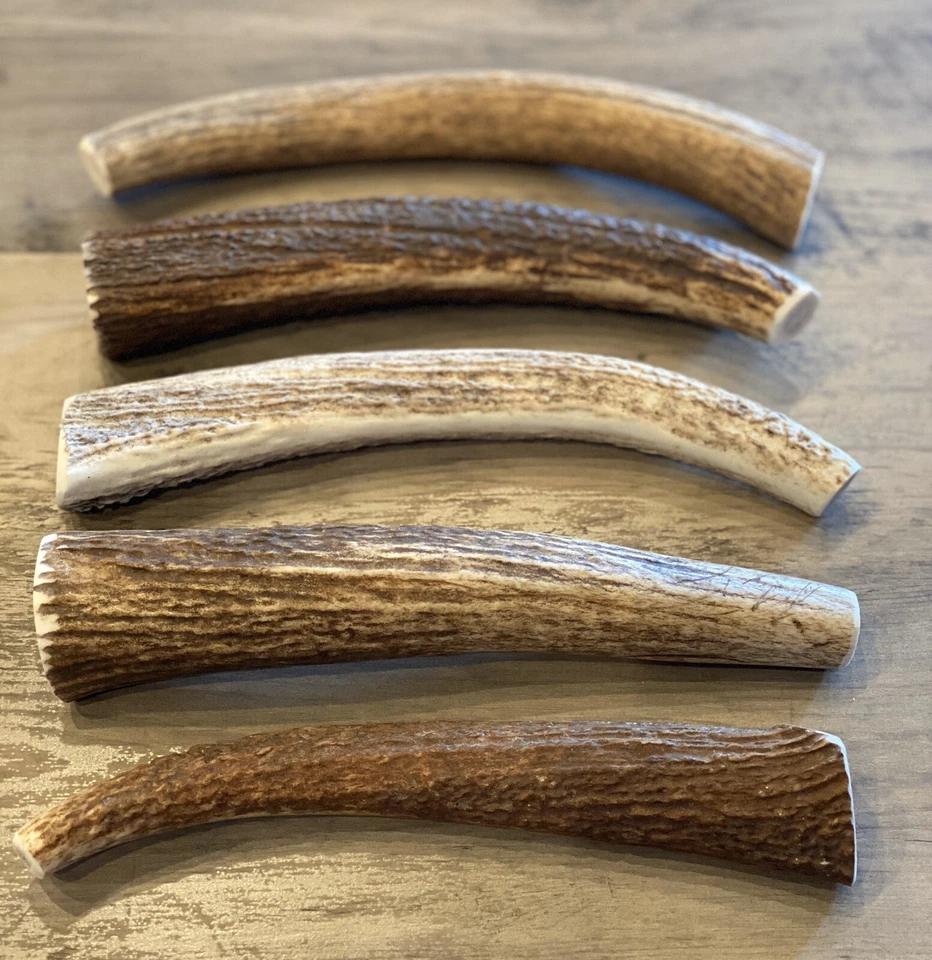 (3 PACK) X-LARGE Elk/Deer Antler Premium Dog Chews **OREGON ANTLER WORKS** - Image 2 of 4