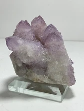 Fine Cactus Amethyst Spirit Quartz-Glass Bevelled Holder-Maglaiesberg Mountain
