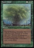 Magic the Gathering MTG Spore Cloud (72b) Fallen Empires   LP