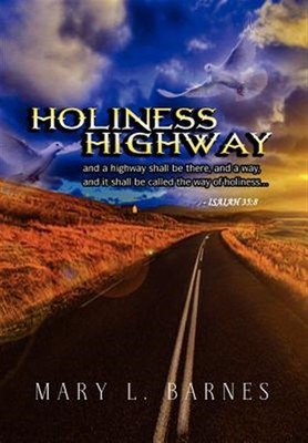 Holiness Highway, Hardcover by Barnes, Mary Louise, Brand New, Free P&P in th...