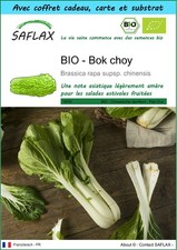 SAFLAX Kit cadeau - BIO - Bok choy - 300 graines - Brassica