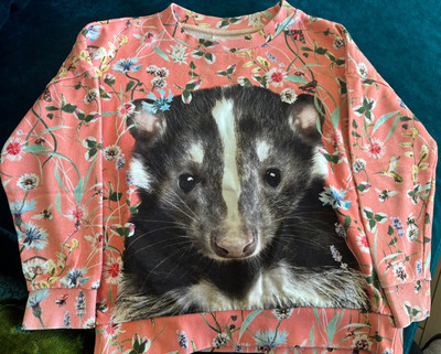 Molo Dachs Sweatshirt wie neu! Grösse 116