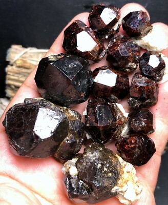 164g 13PC New Find Raw Natural rare Garnet crystal specimens Z891