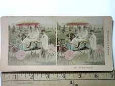 The Fairy Turn Out Horse and Carriage Stereoview Antique c1891 Y18327