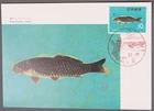 Mayfairstamps Japan 1960s Carp Fish Maximum Card first day Cover aaz_76287