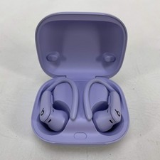 Beats Powerbeats Pro 2 Wireless Earbuds Purple A3160
