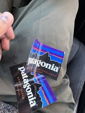 Rare Patagonia Logo Sticker Mountains