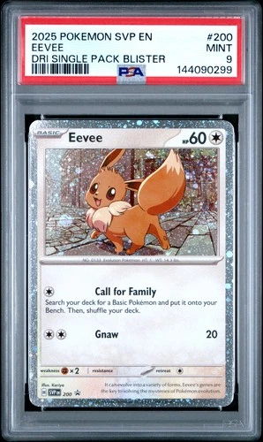 2025 POKEMON SVP DESTINED RIVALS SINGLE PACK BLISTER #200 EEVEE PSA 9