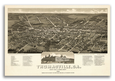 Thomasville Georgia 1885 Historic Panoramic Town Map - 20x30