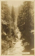 RPPC Postcard Capilano Canyon Vancouver Canada 1919