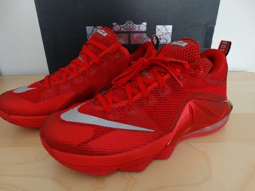 lebron james shoes 12 low