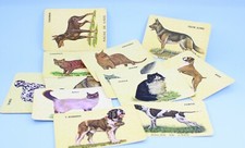 Vintage job lot 12 Pocket size Calendars all for the year 1986 CATS and DOGS VGC