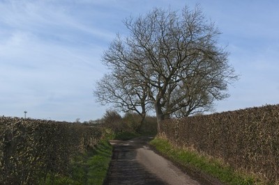 Foto 6x4 Parrox Lane, Newton - mit Maßstab Freckleton eingleisige Straße c2017