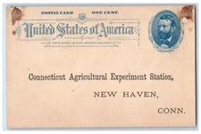 c1905 Connecticut Agriculture Experiment Station New Haven CT Unposted Postcard