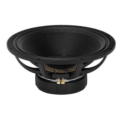 Peavey 15