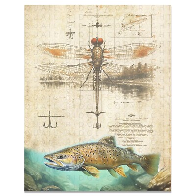 chubby darter fishing lures Salmo Red Tail Shiner; 3 cm Zuri Mag Darter is c3 7000 Color:3