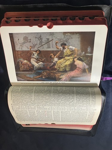 CHRISTIAN WORKER’S BIBLE Illustrated Thumb-Indexed w Encyclopedia 1993 SUPERIOR - Foto 12 di 21