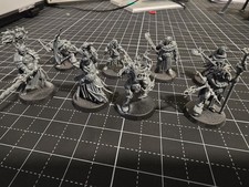 Warcry Warband Scions of the Flame