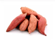3 LBS Japanese / Korean Sweet Potato Murasaki Tuber Great for Sprouting FREE S/H