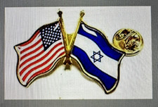SUPPORT ISRAEL USA Friendship Flag Lapel pin *MADE IN USA* Patriotic hat tack