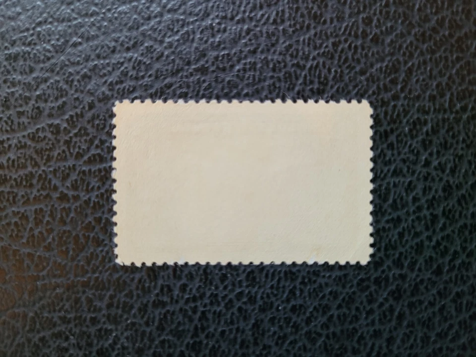 United States #909c MLH, 1943 Occupied Nations Reverse Printing, 2019 APEX Cert - Image 2 of 4