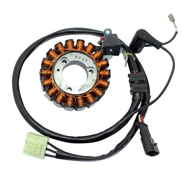 Stator Magnet Piaggio MP3 IE Yourban Erl/Sport 300 2011 2015 (M71200)-image