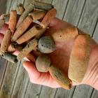 KYRA MINT- NEOLITHIC Terracotta FISHNET WEIGHTS (20 to 22) and 3 Beads - SAHARA