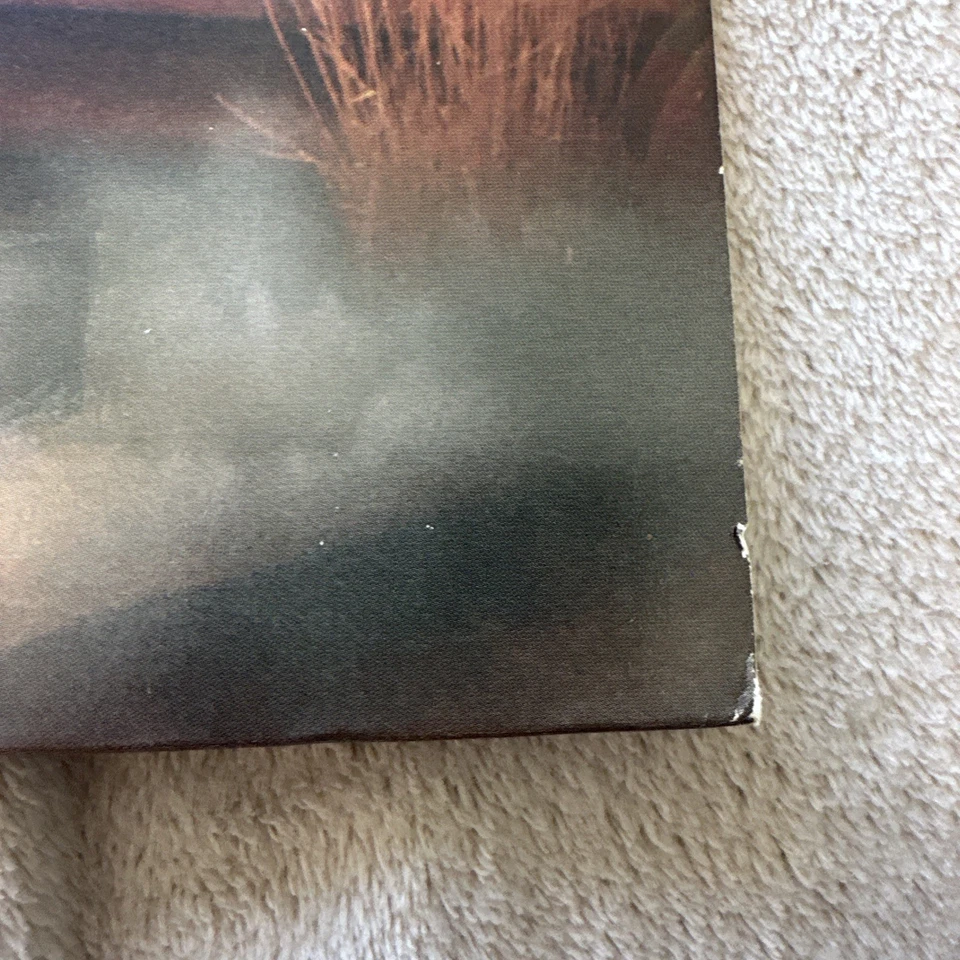 CHER - Prisoner - VINYL Record (1979, Casablanca Records) - Image 2 of 4