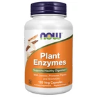 Plant Enzymes 120 Vcaps  by Now Foods