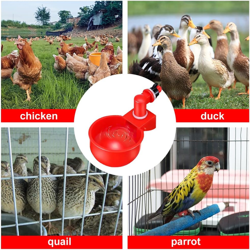 6 Abbeveratoio Automatico Bevitore per Pollame Galline Tazze per Acqua Potabile - Foto 6 di 6