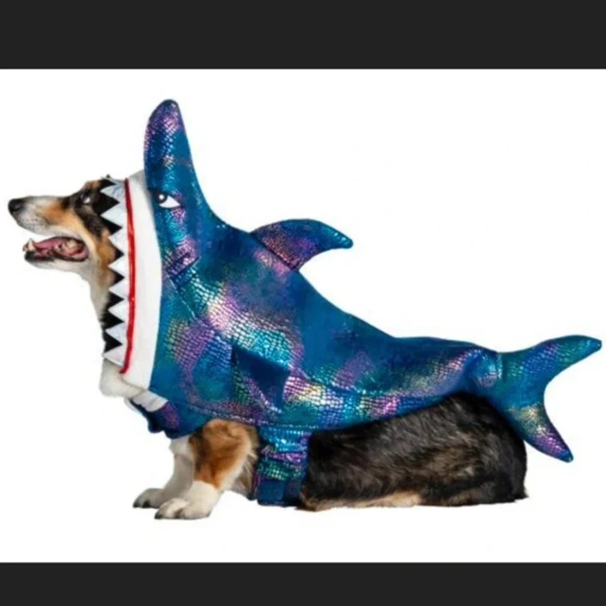 NEW* Thrills & Chills Shark Dog Pet Costume M Metallic Halloween