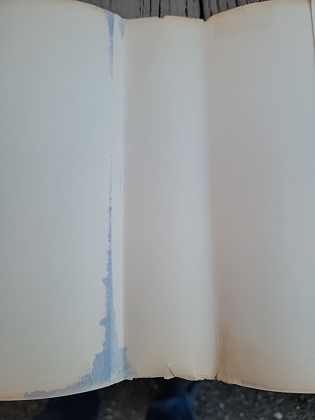 Picture 12 of 24