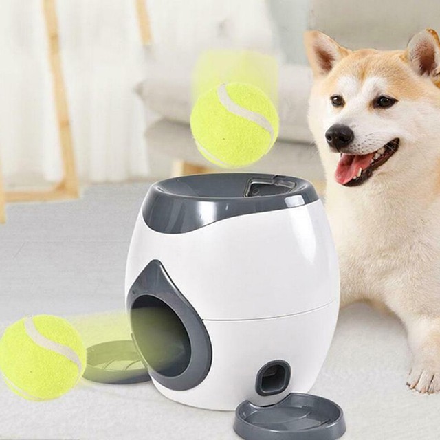 dog slow feeder ball