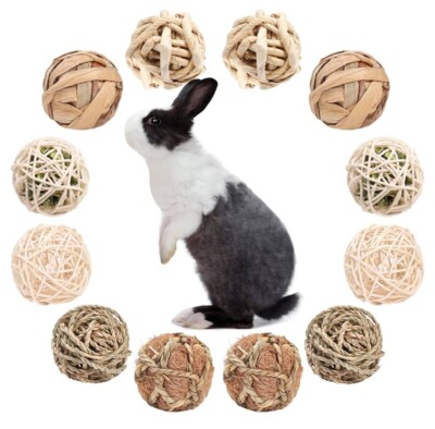 12 PCS Small Animal Activity Toy, Bunny Play Balls Rolling Chew Toys