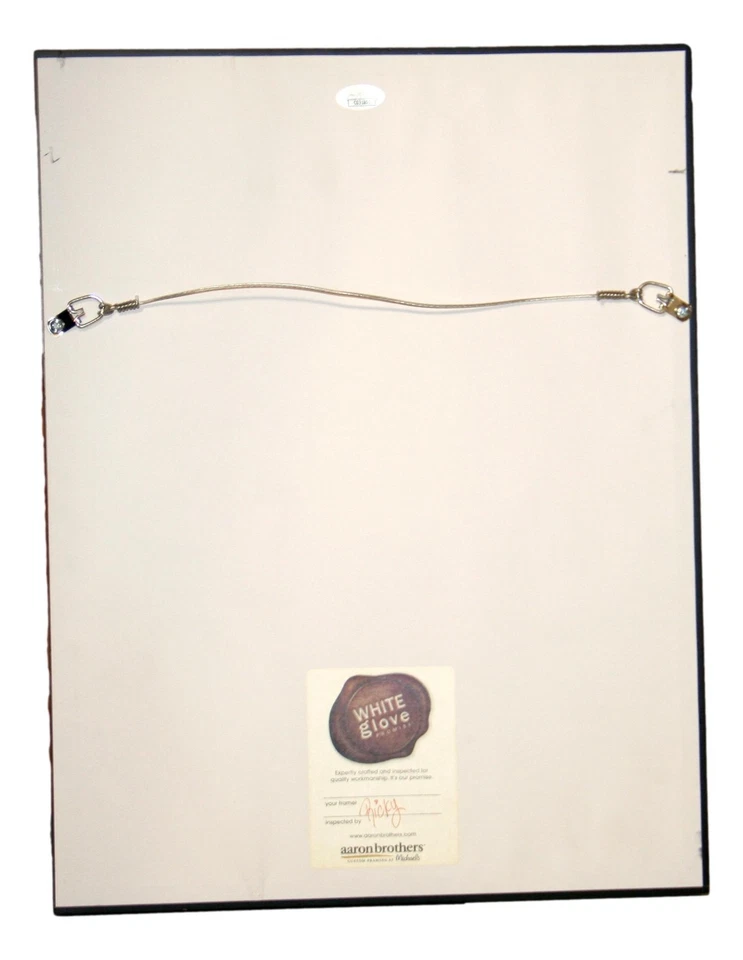 Larry Csonka Autographed Framed 11x14 Sports Illustrated Photo Dolphins JSA - Image 4 of 4