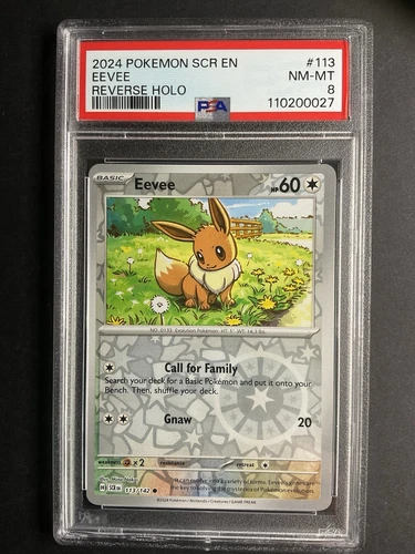 Eevee 113 PSA 8 2024 Pokémon SCR EN Reverse Holo