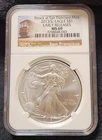 2013 (S) Silver Eagle MS 69 NGC Struck San Francisco Early Releases Trolley