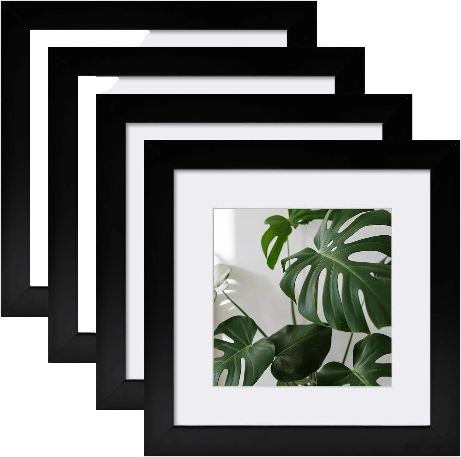 Familia y amigos Marcos Negro