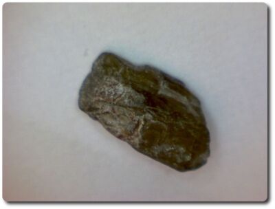 Steine und Mineralien. 1,7 ct DIOPSID KRISTALL Myanmar.