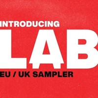 L.A.B - Introducing - Vinyl Record 12 Record - G3Z