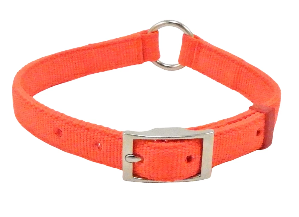 Leather hunting top dog collars