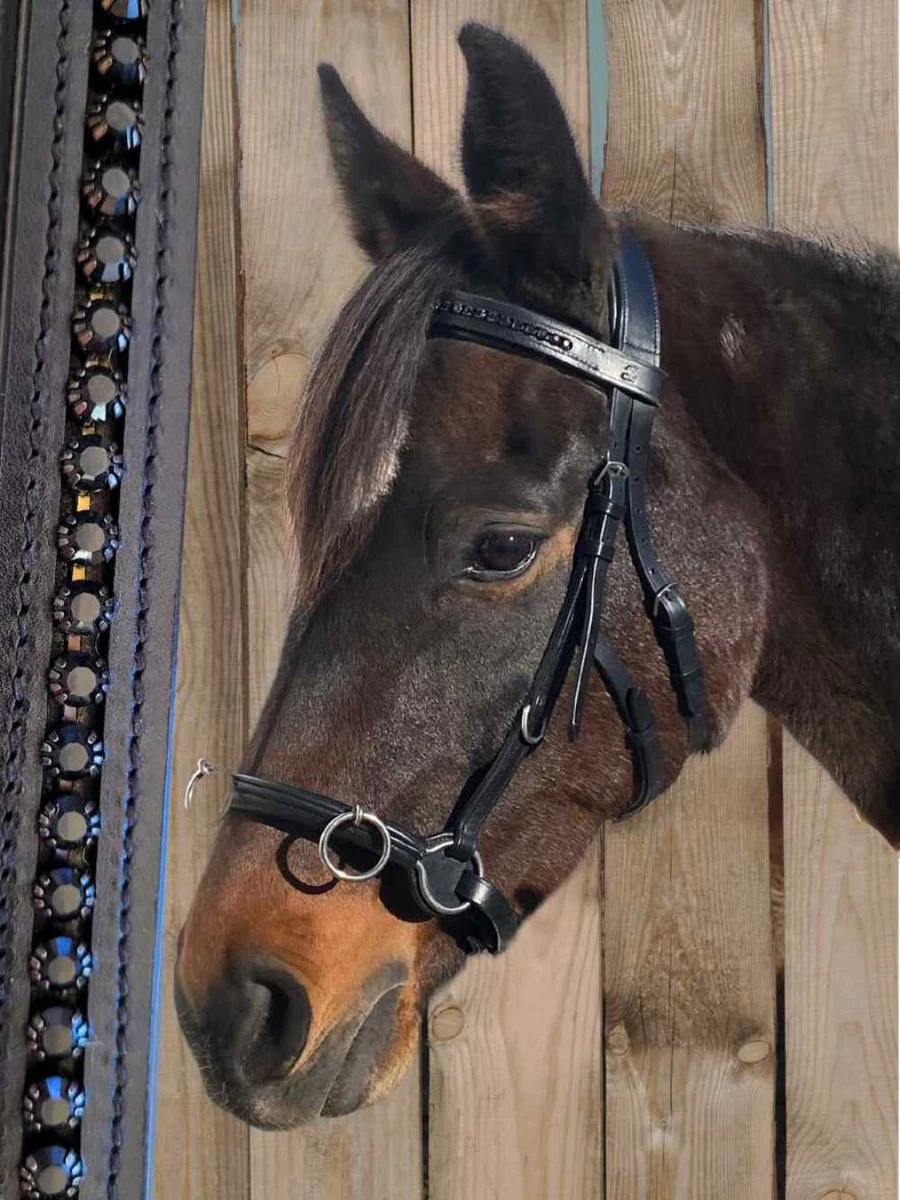 Kincade Horse Halter Cavesson Matelassé - Marine - Taille Full