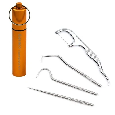 Portable Toothpicks Pocket Set, Dental Floss Picks, 1 Foot (Pack of 4), Gold - Photo 1/4