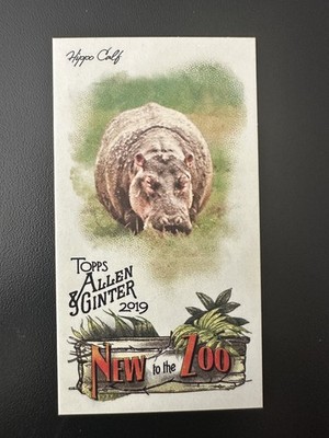 2019 Topps Allen & Ginter Mini New to the Zoo #NTTZ-2 Hippo Calf